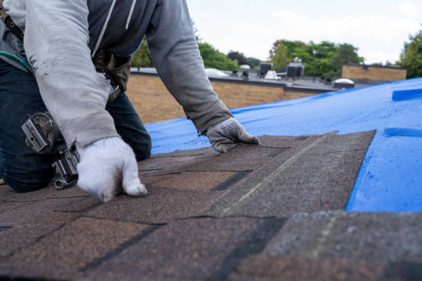 Best Roof Gutter Cleaning  in Chackbay, LA